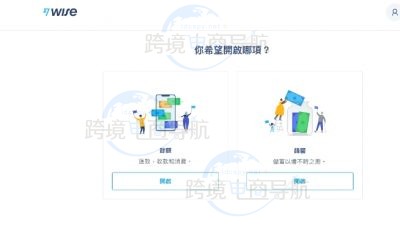 Wise账户如何收款教程？