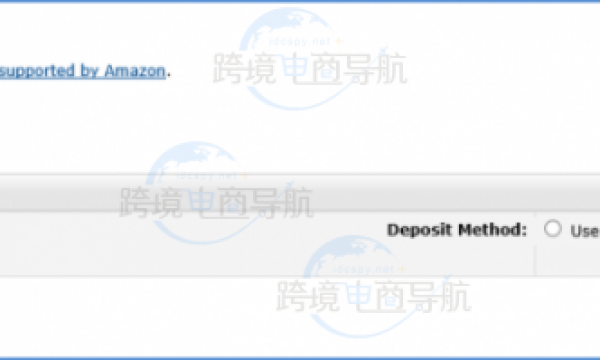 分享亚马逊跨境卖家设置Payoneer收款教程